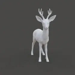 Roe Deer