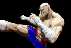Sagat 3D Print Model in Man 602352