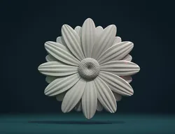 Daisy