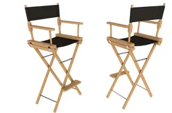Director Chair