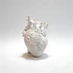 intricacies of an anatomical human heart