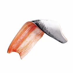 Salmon fish Filet