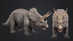Triceratops