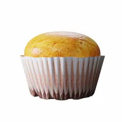 Vanilla Cupcake