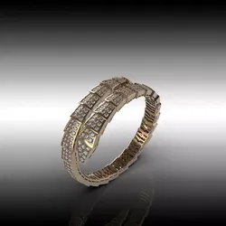 Bracelet Snake