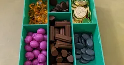 Everdell Organizer Insert for 2nd Edition Twigs
