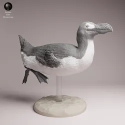 Great Auk Swim