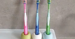 Toothbrush stand holder