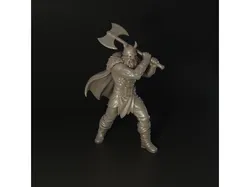 Viking Warrior