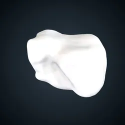 Pan troglodytes troglodytes: Cuboid Right