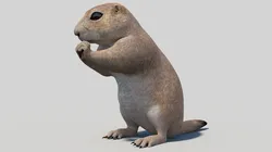 Rigged Prairie Dog