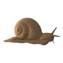 Snail STL model relief CNC router wood carving & 3D printing