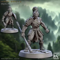 Vanara Monk - D (Legend of the Vanara Monks)