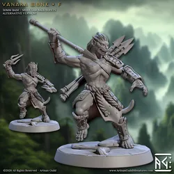 Vanara Monk - F (Legend of the Vanara Monks)