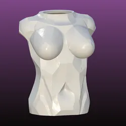 Female bust vase and Napkin holder (sculpted)