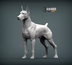 Doberman