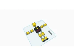 essay person