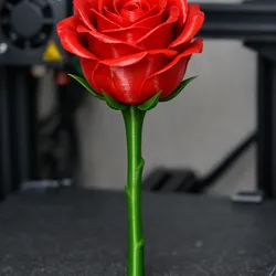3d Rose STL File