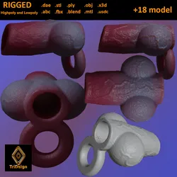 Dog Penis Sheath Lowpoly and Highpoly