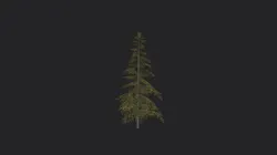 Tree 020