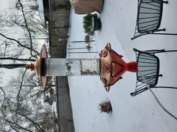 Hummingbird Feeder Heater Redesign