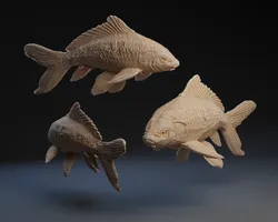 Koi Fish