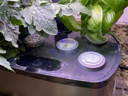 AeroGarden Hole Covers - Epcot themed