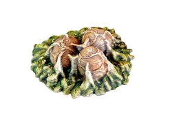 Alien Eggs V1