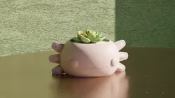 Axolotl - Pot Plant