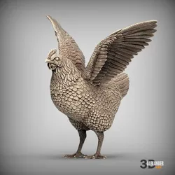 Chicken Flaps Its Wings