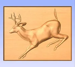 Deer Running