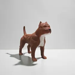 Pit bull dog