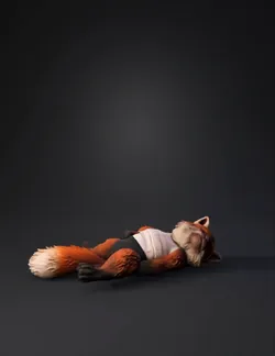 red panda with white bandage lying on asphalt orange brown fur red e