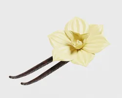 Vanilla flower