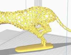 cheetah cheetah