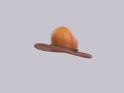 Hat459