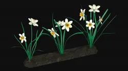 Narcissists narcissus