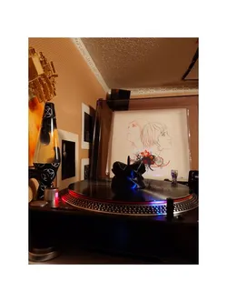 Record drying stand