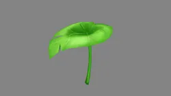 A taro leaf - Cartoon leaf