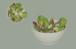 Bowl of Salad