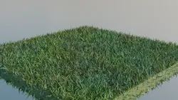 Grass Free