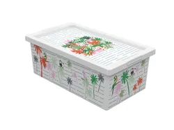 H2000402 BOX MULTICOLOR