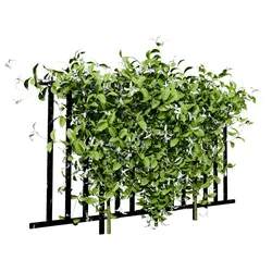 Lush Honeysuckle Garden