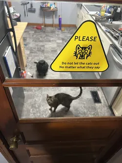 Warning Sign: Don't Let the Cats Out
