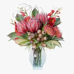 Bouquet of red protea flowers