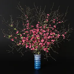 Branches cherry flowers