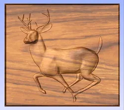 Deer Blazing