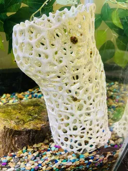 guppies structure voronoi