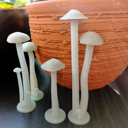 Mushrooms
