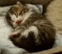 Suporte Alexa Echo Dot 4a e 5a Sleep Cat On Pillow V3